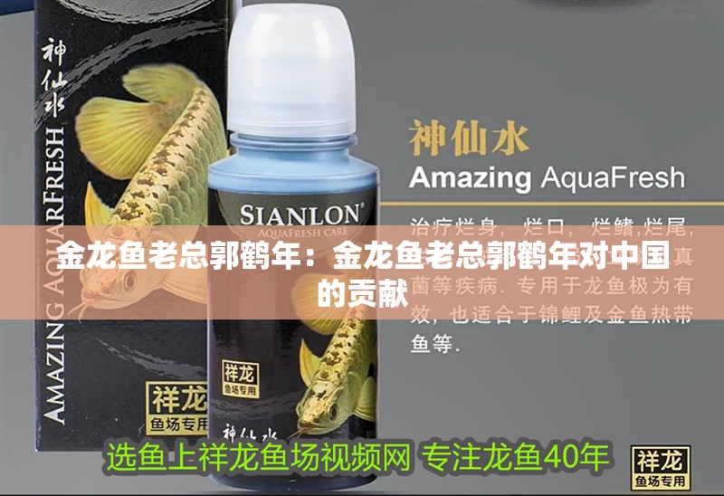 金龍魚老總郭鶴年：金龍魚老總郭鶴年對中國的貢獻