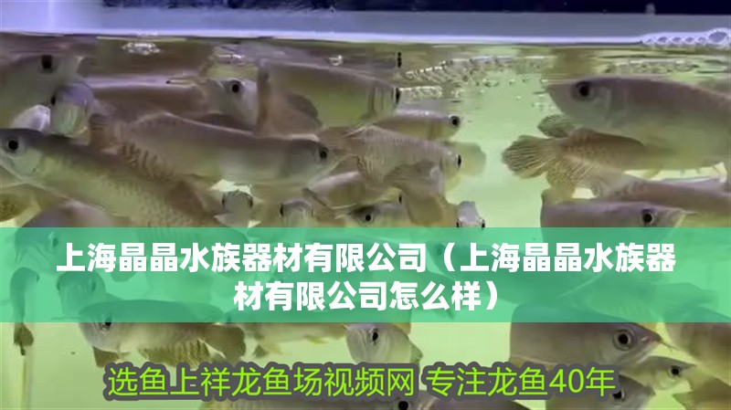 上海晶晶水族器材有限公司（上海晶晶水族器材有限公司怎么樣）