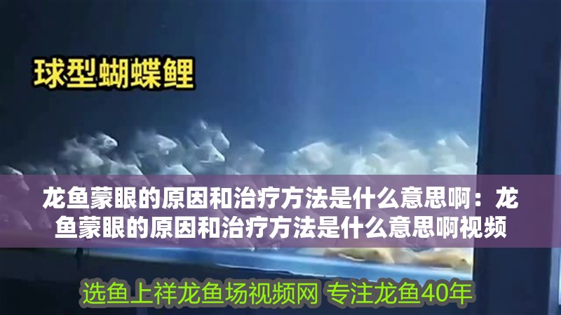 龍魚蒙眼的原因和治療方法是什么意思?。糊堲~蒙眼的原因和治療方法是什么意思啊視頻