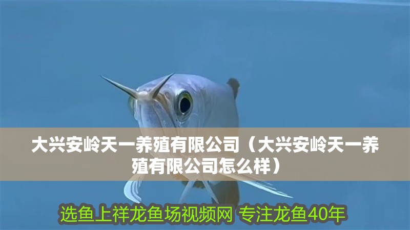 大興安嶺天一養殖有限公司（大興安嶺天一養殖有限公司怎么樣）