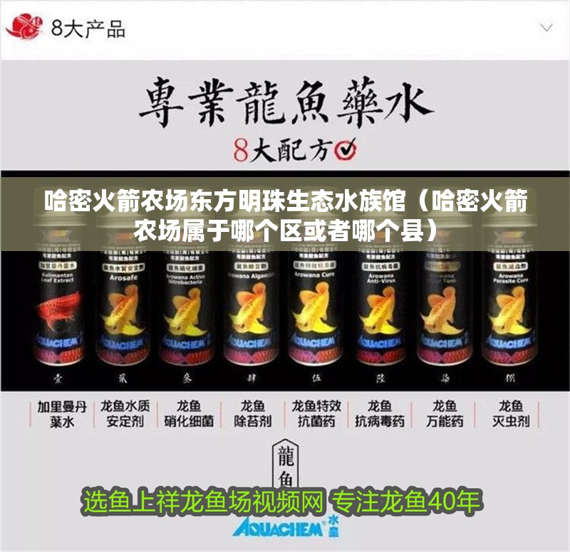 哈密火箭農場東方明珠生態水族館（哈密火箭農場屬于哪個區或者哪個縣）