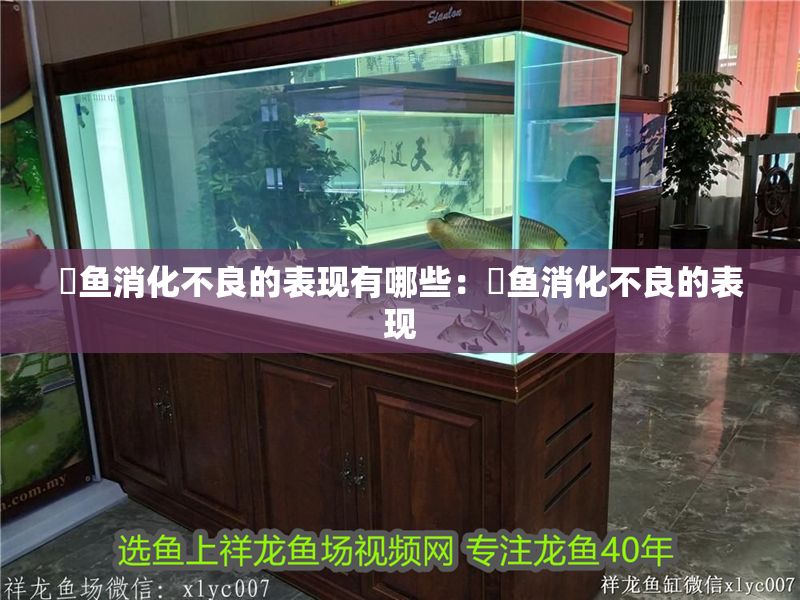 魟魚消化不良的表現有哪些：魟魚消化不良的表現