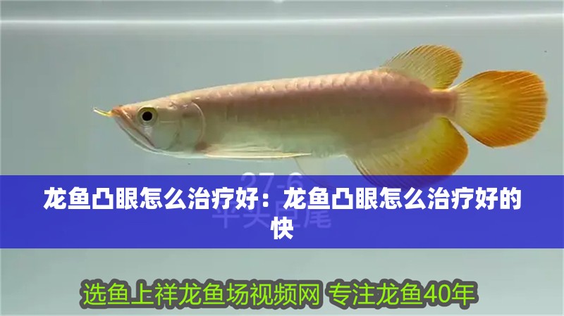 龍魚凸眼怎么治療好：龍魚凸眼怎么治療好的快