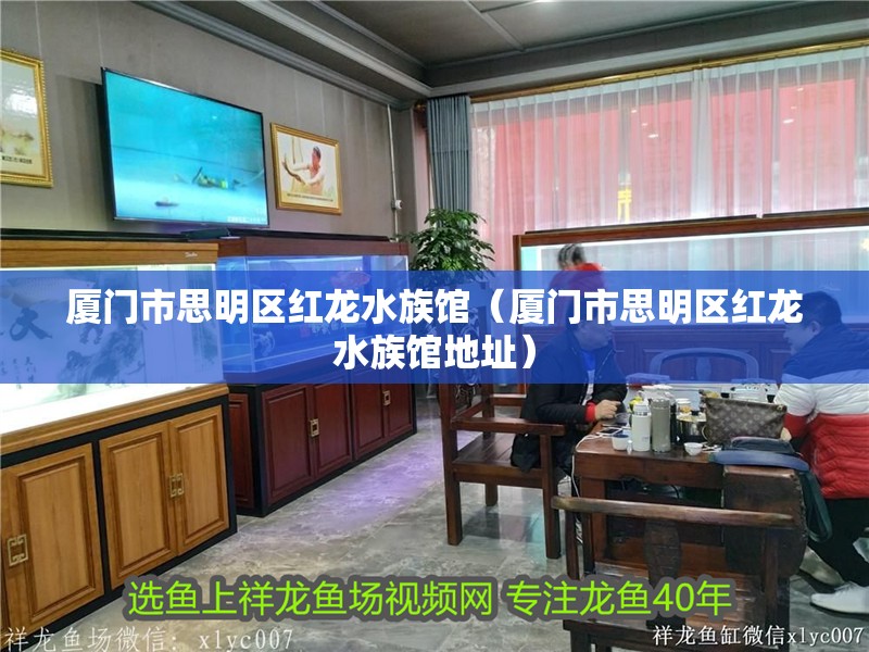 廈門市思明區(qū)紅龍水族館(廈門市思明區(qū)紅龍水族館地址) 全國(guó)水族館企業(yè)名錄 第1張 廈門市思明區(qū)紅龍水族館(廈門市思明區(qū)紅龍水族館地址) 廈門市思明區(qū)紅龍水族館(廈門市思明區(qū)紅龍水族館地址) 全國(guó)水族館企業(yè)名錄 第1張