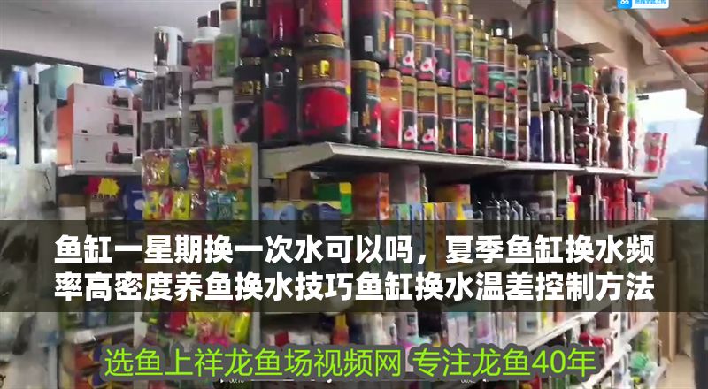 魚(yú)缸一星期換一次水可以嗎，夏季魚(yú)缸換水頻率高密度養(yǎng)魚(yú)換水技巧魚(yú)缸換水溫差控制方法