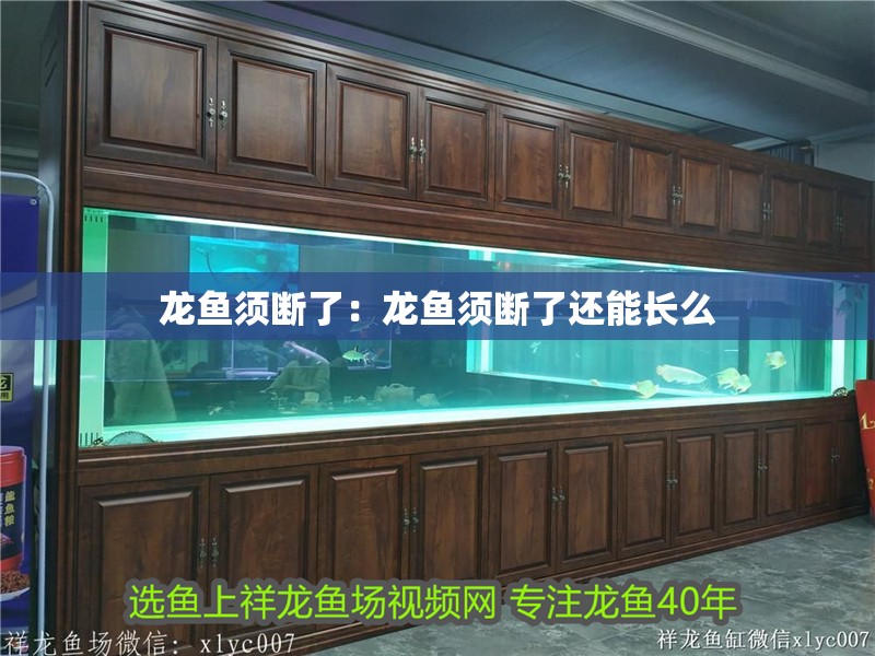 龍魚須斷了：龍魚須斷了還能長么