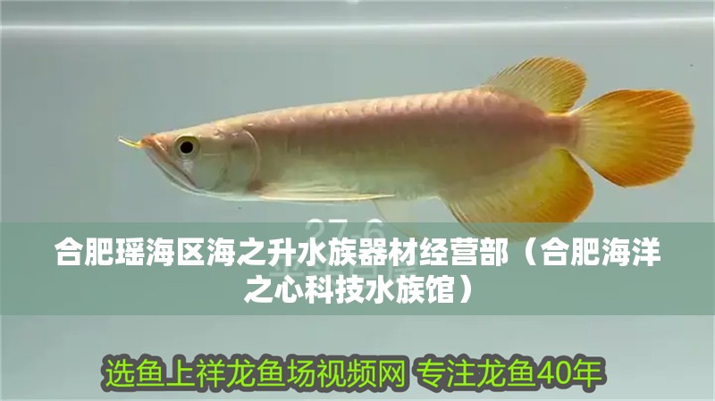 合肥瑤海區海之升水族器材經營部（合肥海洋之心科技水族館）