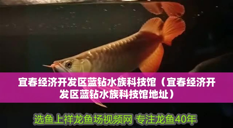 宜春經濟開發區藍鉆水族科技館(宜春經濟開發區藍鉆水族科技館地址) 全國水族館企業名錄 第1張 宜春經濟開發區藍鉆水族科技館(宜春經濟開發區藍鉆水族科技館地址) 宜春經濟開發區藍鉆水族科技館(宜春經濟開發區藍鉆水族科技館地址) 全國水族館企業名錄 第1張