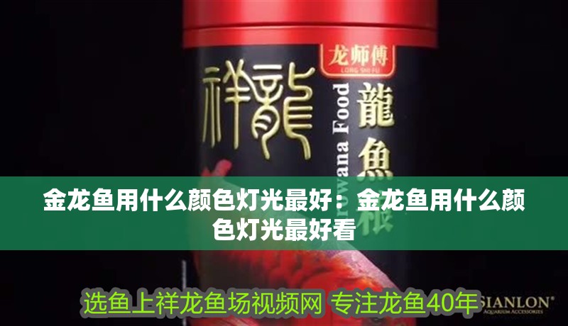 金龍魚用什么顏色燈光最好：金龍魚用什么顏色燈光最好看