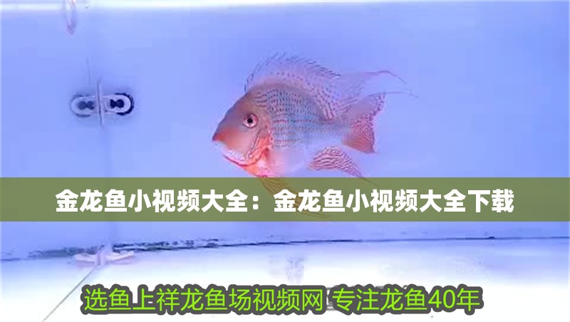 魚缸為什么會起綠藻（魚缸為什么會起綠藻呢）