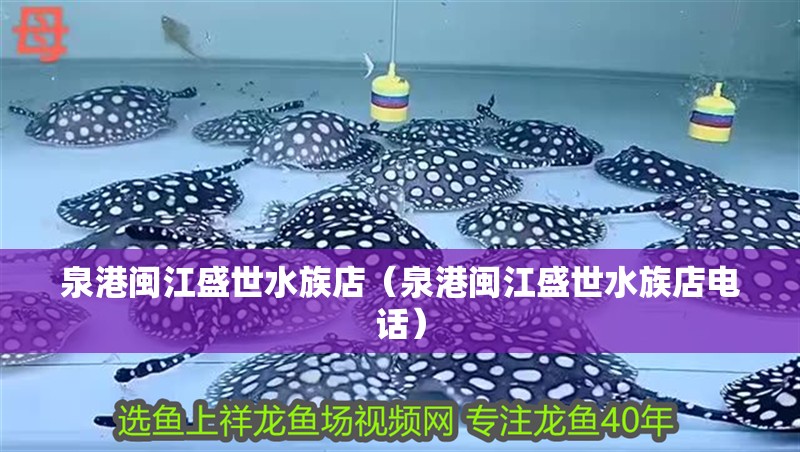 泉港閩江盛世水族店（泉港閩江盛世水族店電話）