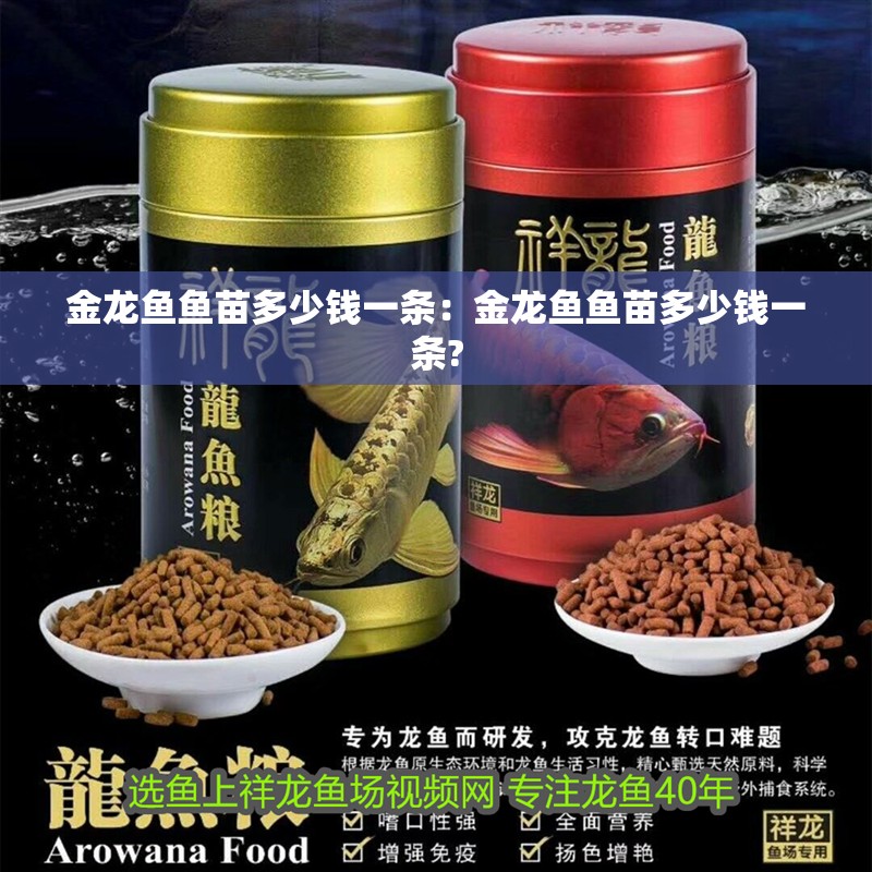 金龍魚魚苗多少錢一條：金龍魚魚苗多少錢一條?