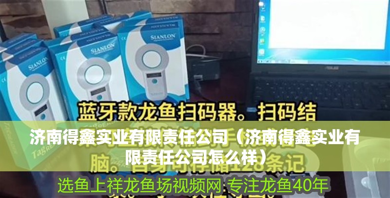 濟南得鑫實業有限責任公司（濟南得鑫實業有限責任公司怎么樣）