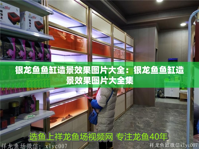 銀龍魚(yú)魚(yú)缸造景效果圖片大全：銀龍魚(yú)魚(yú)缸造景效果圖片大全集