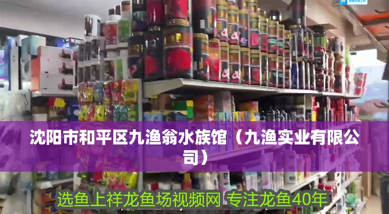 沈陽市和平區九漁翁水族館(九漁實業有限公司) 全國水族館企業名錄 第1張 沈陽市和平區九漁翁水族館(九漁實業有限公司) 沈陽市和平區九漁翁水族館(九漁實業有限公司) 全國水族館企業名錄 第1張