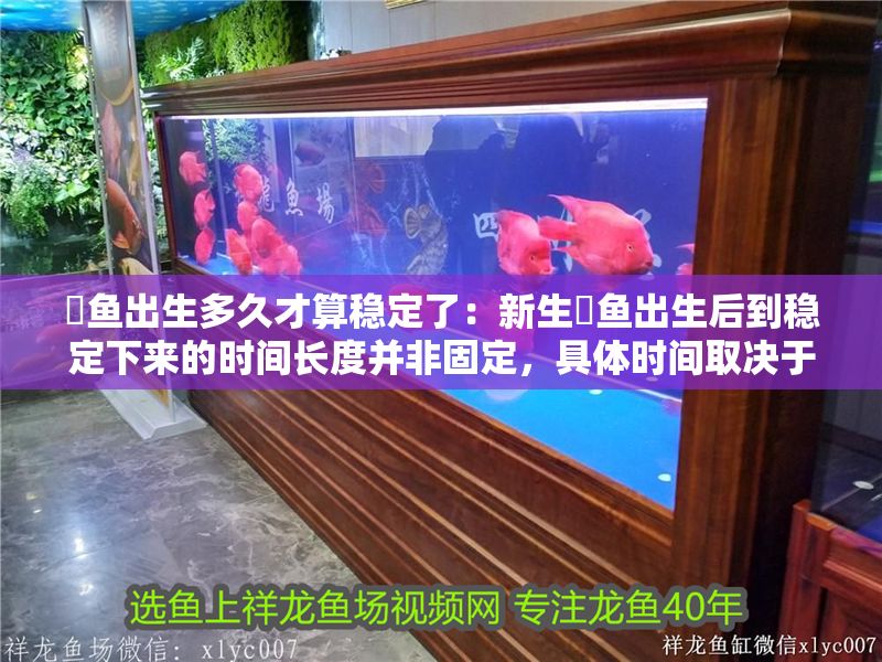 魟魚出生多久才算穩(wěn)定了：新生魟魚出生后到穩(wěn)定下來的時間長度并非固定，具體時間取決于多種因素
