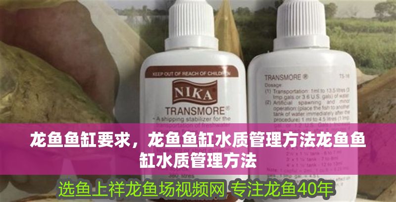 龍魚魚缸要求，龍魚魚缸水質(zhì)管理方法龍魚魚缸水質(zhì)管理方法