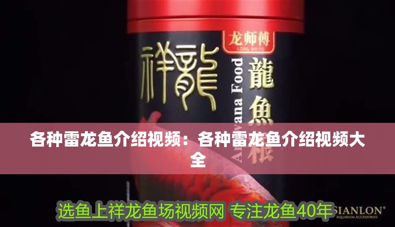 各種雷龍魚介紹視頻：各種雷龍魚介紹視頻大全