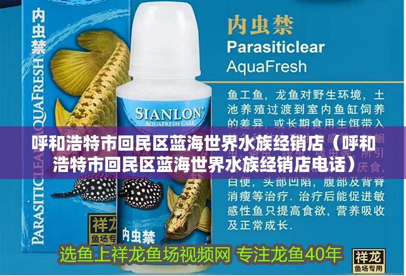 呼和浩特市回民區藍海世界水族經銷店（呼和浩特市回民區藍海世界水族經銷店電話）