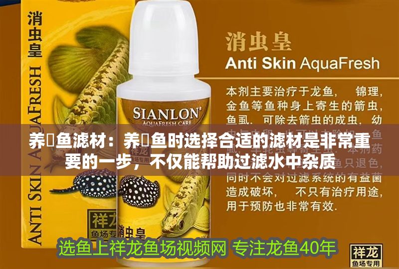 養(yǎng)魟魚濾材：養(yǎng)魟魚時選擇合適的濾材是非常重要的一步，不僅能幫助過濾水中雜質 養(yǎng)魟魚濾材：養(yǎng)魟魚時選擇合適的濾材是非常重要的一步，不僅能幫助過濾水中雜質 魟魚百科 第2張