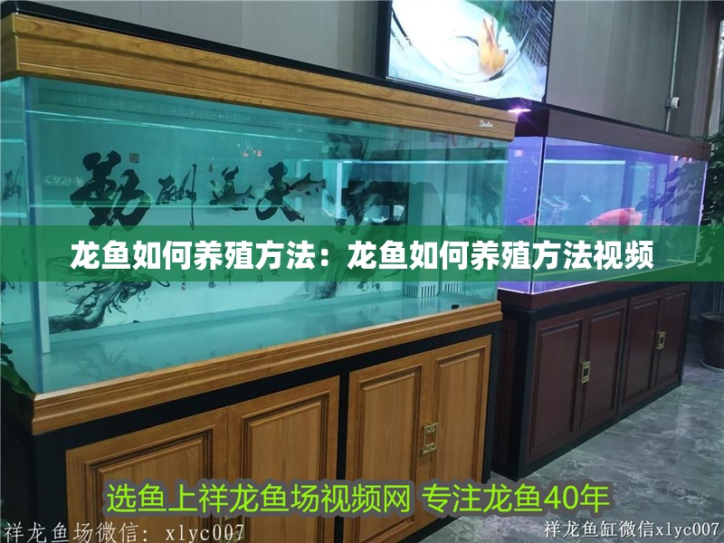 龍魚如何養殖方法：龍魚如何養殖方法視頻