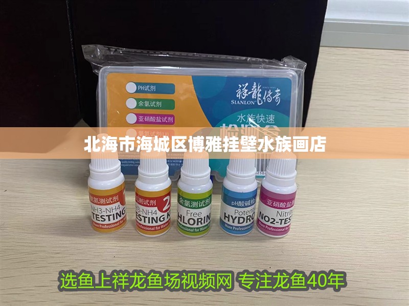 北海市海城區博雅掛壁水族畫店