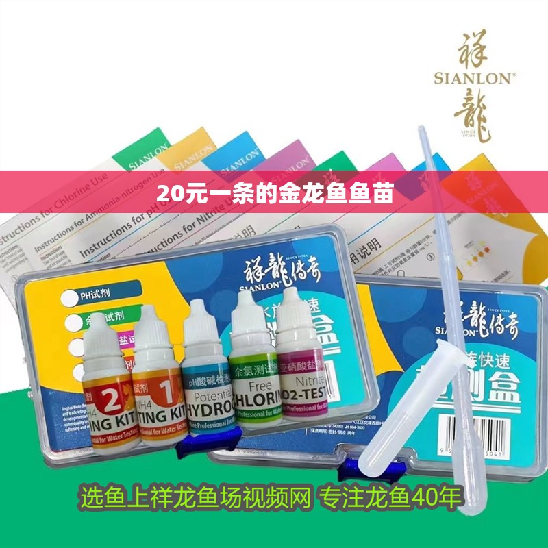 20元一條的金龍魚魚苗