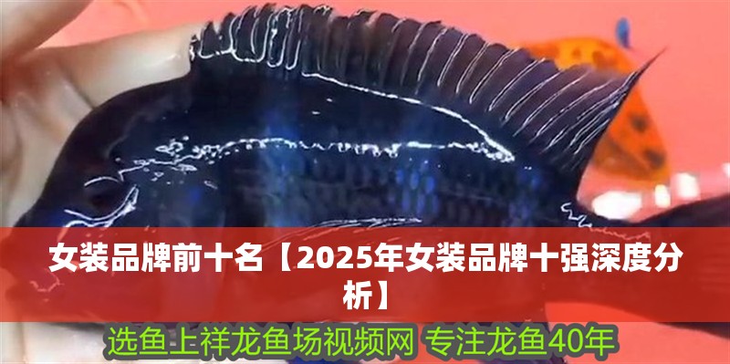 女裝品牌前十名【2025年女裝品牌十強(qiáng)深度分析】