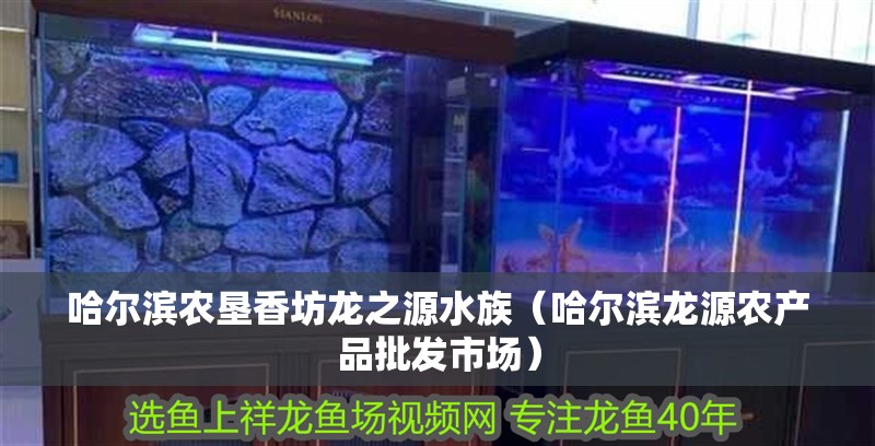 哈爾濱農墾香坊龍之源水族（哈爾濱龍源農產品批發市場）