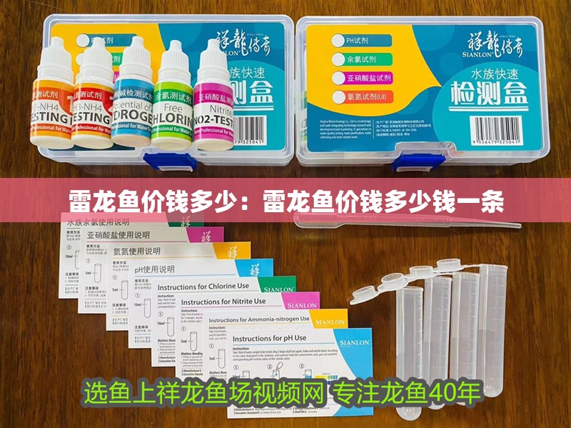 雷龍魚價錢多少：雷龍魚價錢多少錢一條