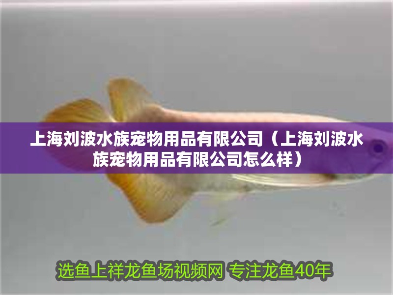 上海劉波水族寵物用品有限公司（上海劉波水族寵物用品有限公司怎么樣）