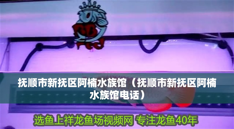 撫順市新撫區阿楠水族館（撫順市新撫區阿楠水族館電話）