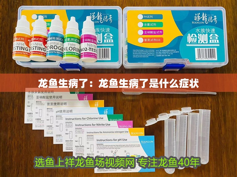 豬鼻龜多久可以長到20公分的頭(豬鼻龜多久可以長到20公分的頭圍)