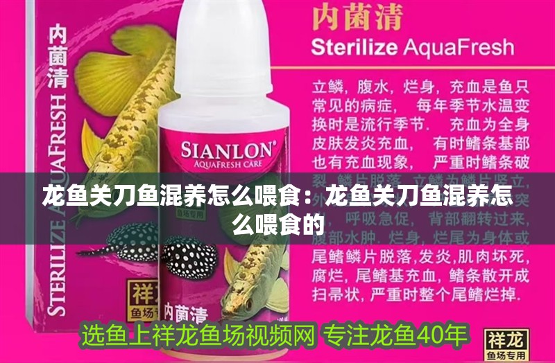 龍魚關刀魚混養怎么喂食：龍魚關刀魚混養怎么喂食的