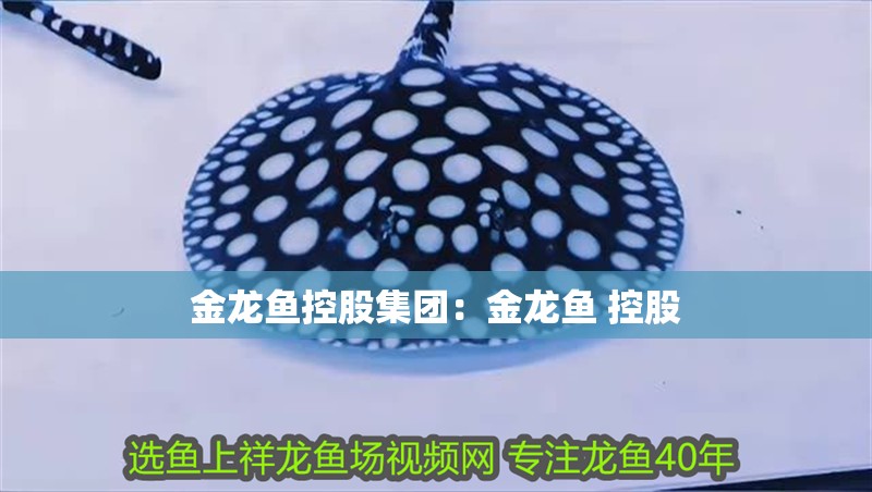 金龍魚控股集團：金龍魚 控股