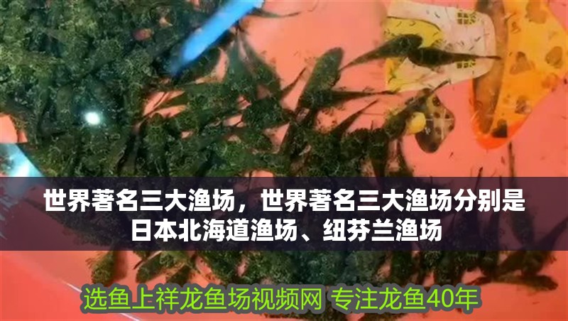 世界著名三大漁場(chǎng)，世界著名三大漁場(chǎng)分別是日本北海道漁場(chǎng)、紐芬蘭漁場(chǎng)