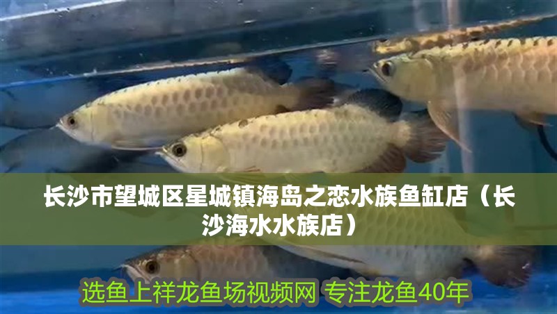 長沙市望城區星城鎮海島之戀水族魚缸店（長沙海水水族店） 長沙市望城區星城鎮海島之戀水族魚缸店（長沙海水水族店） 全國水族館企業名錄 第1張