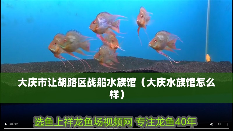 大慶市讓胡路區(qū)戰(zhàn)船水族館（大慶水族館怎么樣）