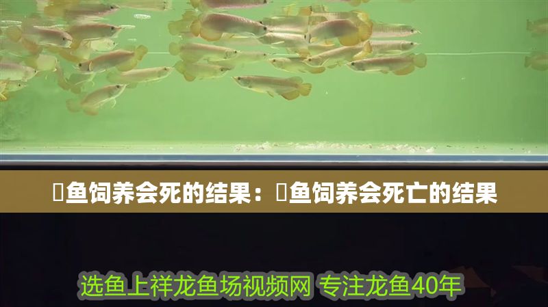魟魚飼養會死的結果：魟魚飼養會死亡的結果