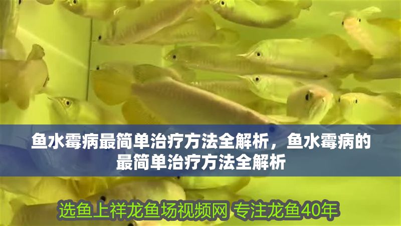 魚水霉病最簡單治療方法全解析，魚水霉病的最簡單治療方法全解析