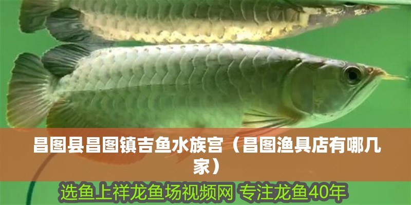 昌圖縣昌圖鎮吉魚水族宮（昌圖漁具店有哪幾家）