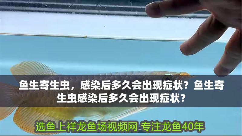 魚生寄生蟲，感染后多久會出現癥狀？魚生寄生蟲感染后多久會出現癥狀？