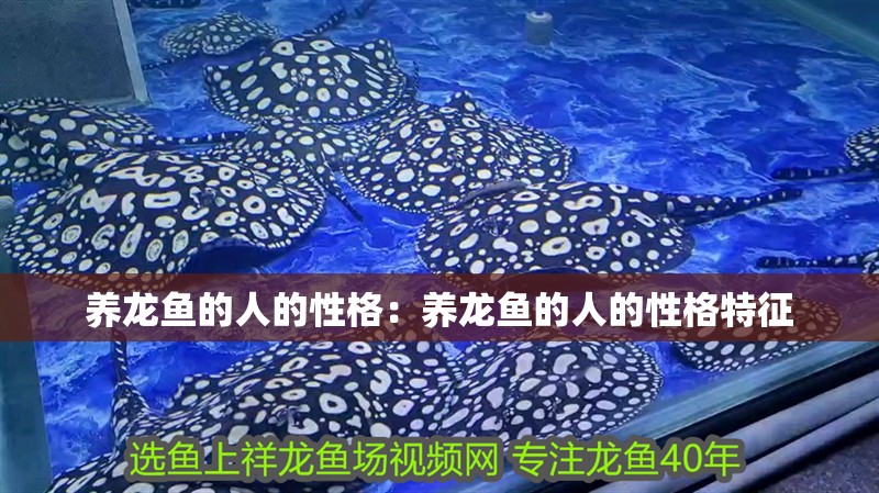 養(yǎng)龍魚的人的性格：養(yǎng)龍魚的人的性格特征