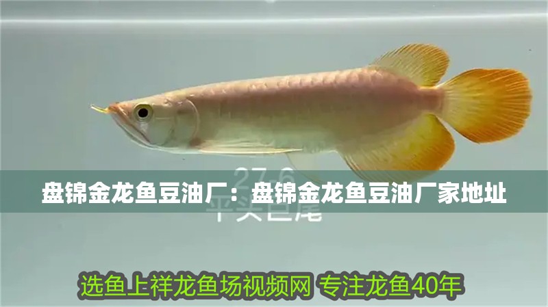 盤錦金龍魚豆油廠：盤錦金龍魚豆油廠家地址