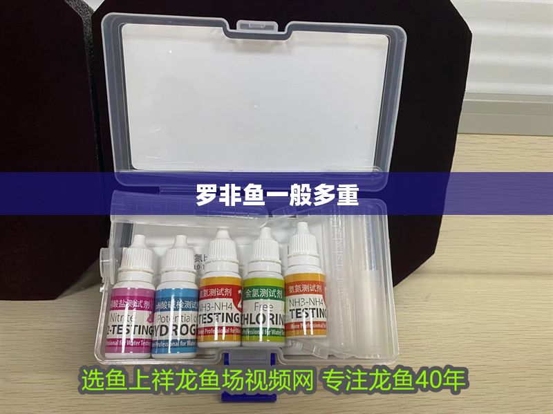 羅非魚一般多重