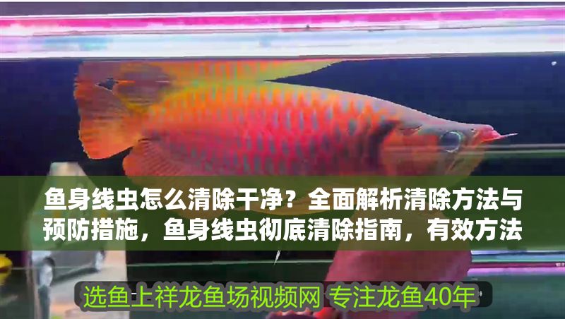 魚身線蟲怎么清除干凈？全面解析清除方法與預防措施，魚身線蟲徹底清除指南，有效方法與預防措施全解析