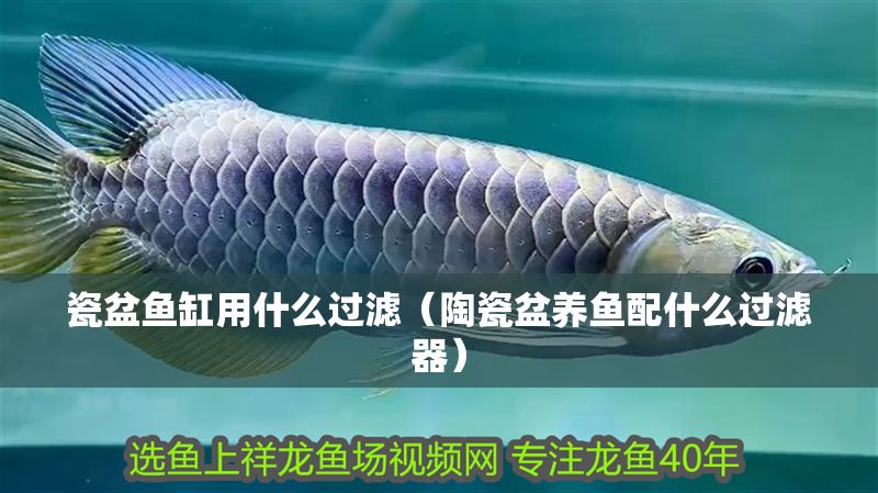 瓷盆魚缸用什么過濾（陶瓷盆養(yǎng)魚配什么過濾器）