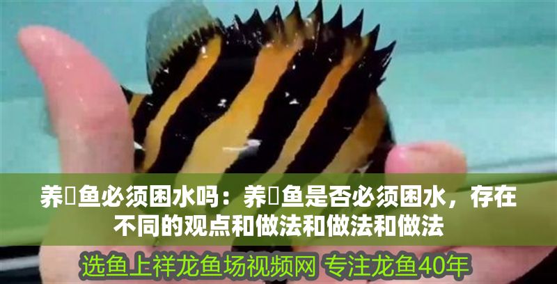 養(yǎng)魟魚必須困水嗎：養(yǎng)魟魚是否必須困水，存在不同的觀點(diǎn)和做法和做法和做法