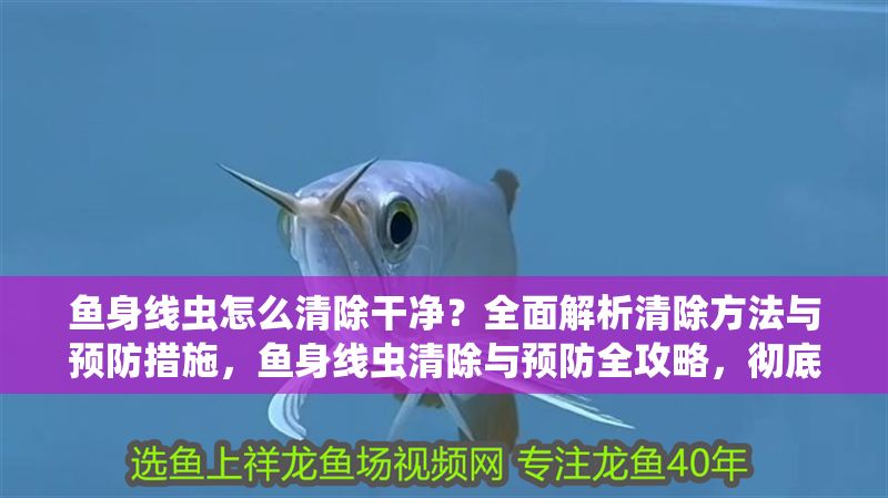 魚身線蟲怎么清除干凈？全面解析清除方法與預防措施，魚身線蟲清除與預防全攻略，徹底解決寄生蟲問題