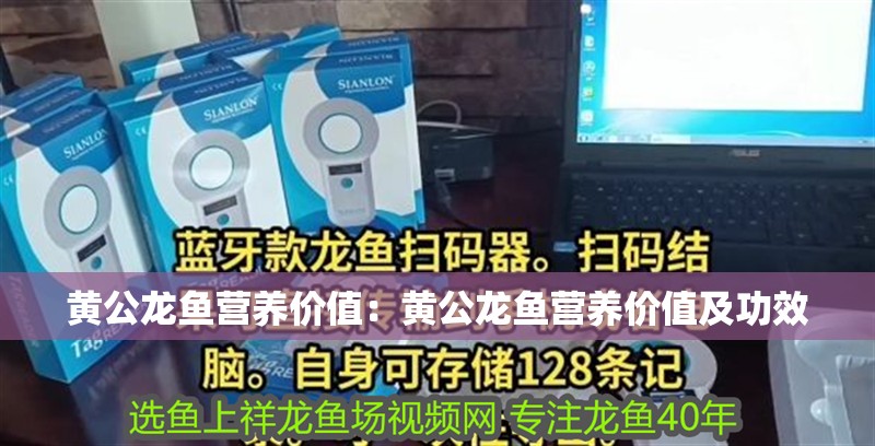 黃公龍魚營養(yǎng)價值：黃公龍魚營養(yǎng)價值及功效